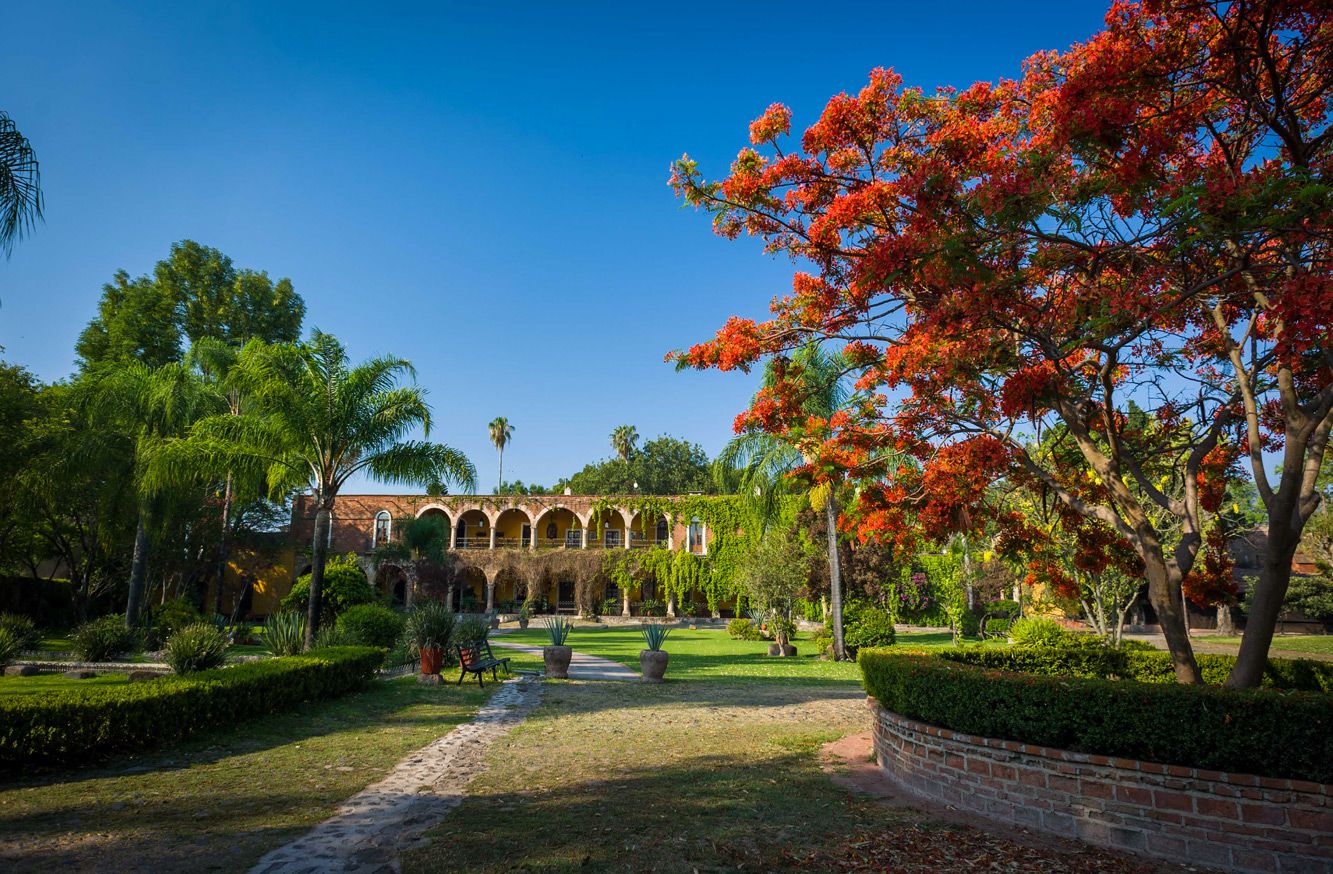 Hacienda El Carmen – Hotel & SPA